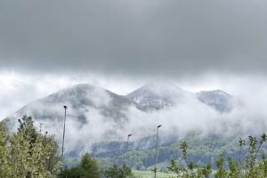 Immobilien Elfi Härtl