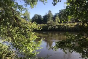 Immobilien Hilfe Passau