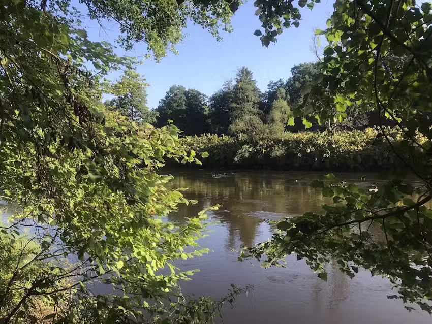 Immobilien Hilfe Passau