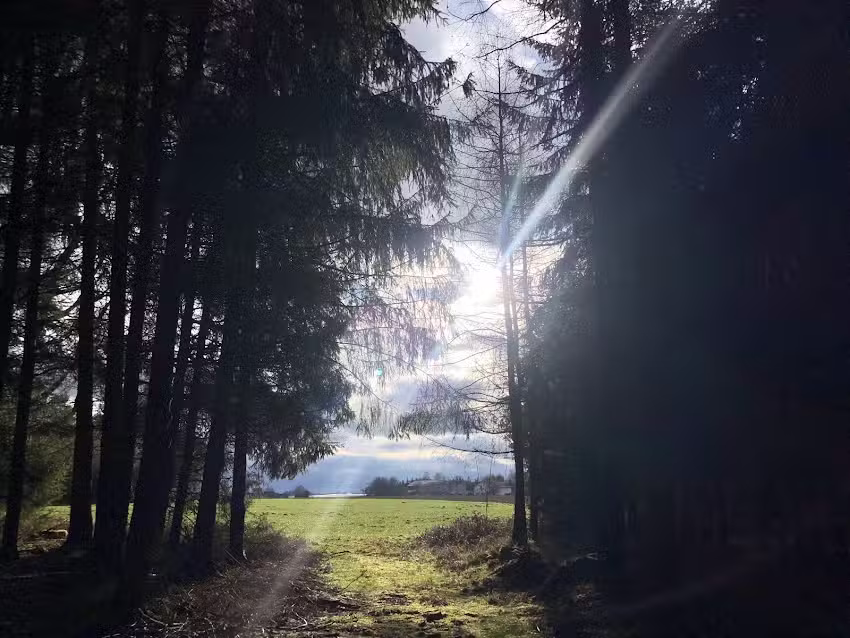 Immobilien KV & Immobilien Wertermittlung Halsbach