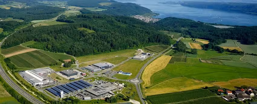 Immobilien Renata Brauer