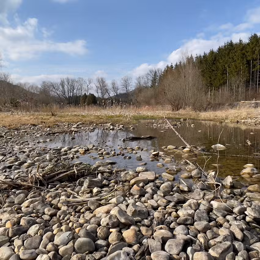 Immobilien Schmidt München e.K.