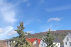 Immobilien- und Hausverwaltung Lessmann