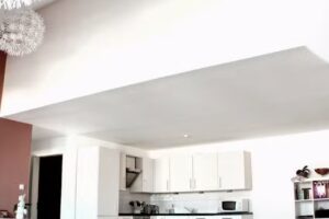 Immobilienagentur Freiburg