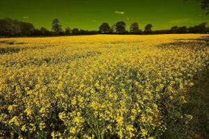 Immobilienbewertung Rüdiger Meier