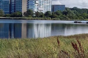 Immobilienbüro Bodendieck