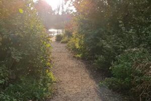 Immobilienfonds Kurklinik Am schönen Moos Bad Saulgau GmbH & Co. Kommanditgesellschaft