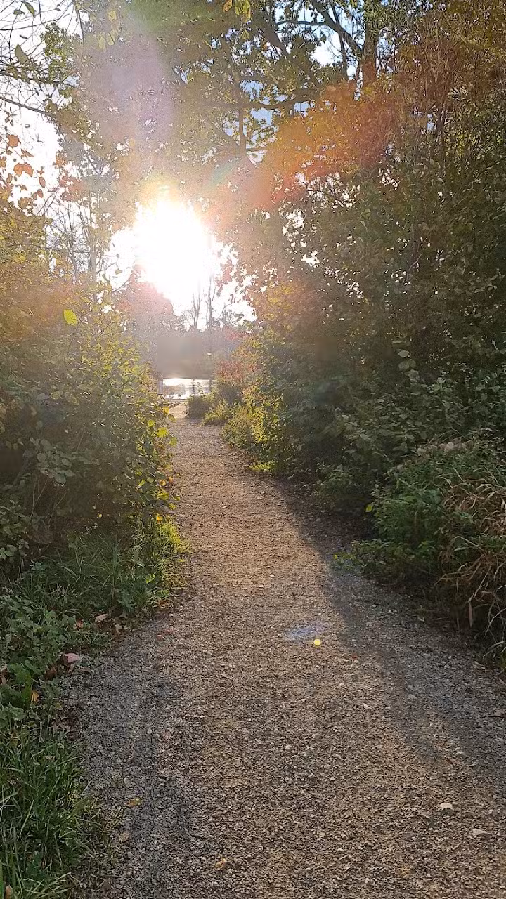 Immobilienfonds Kurklinik Am schönen Moos Bad Saulgau GmbH & Co. Kommanditgesellschaft