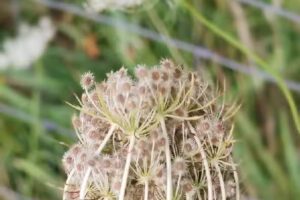 Industriepark Nord.Westfalen