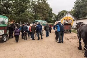 Insel Information Vitte