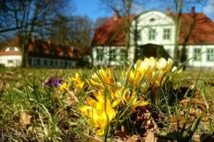 Jagdschloss Friedrichsmoor