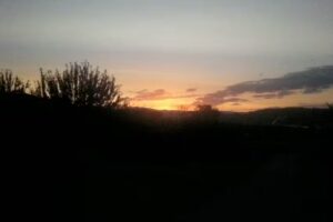 Jürgen Bauer Immobilienvermittlung