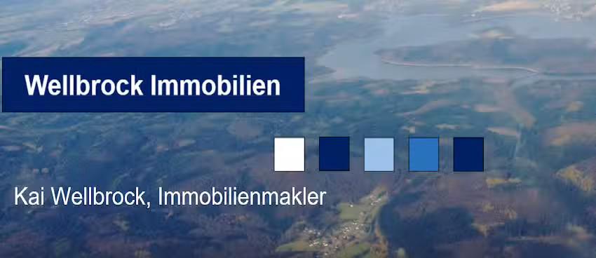 Kai Wellbrock, Immobilienmakler