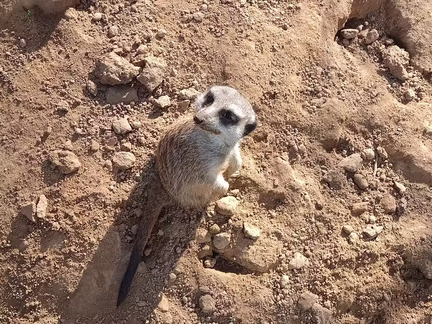 Kappel Grundstück und Verwaltung GmbH