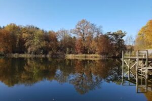 Karl-Friedrich Marks