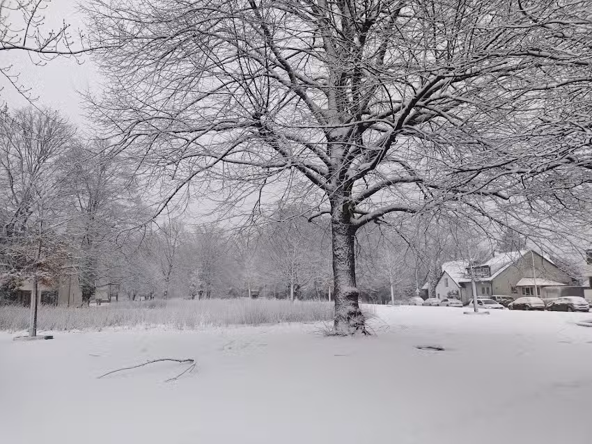 Karstadt Immobilien GmbH & Co. KG