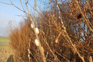 KERSTIN MUMM IMMOBILIEN