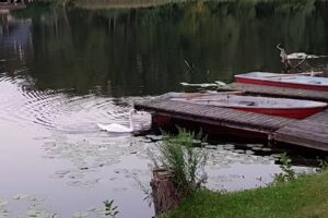 Kirstin Kracht Ferienwohnungsvermietung