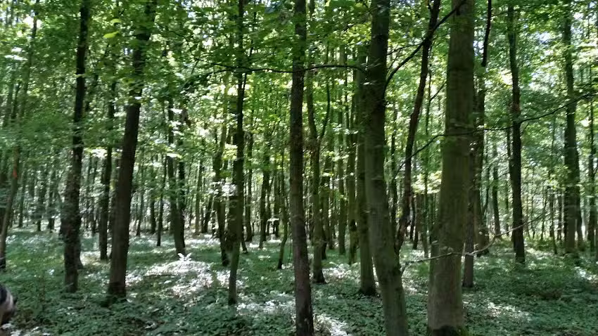 KL Grundbesitz GmbH & Co. KG