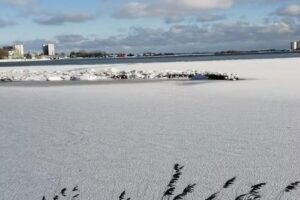 Kraushaar Ferienwohnungen Fehmarn