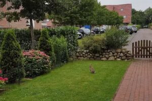 Kraushaar Ferienwohnungen Schönberg