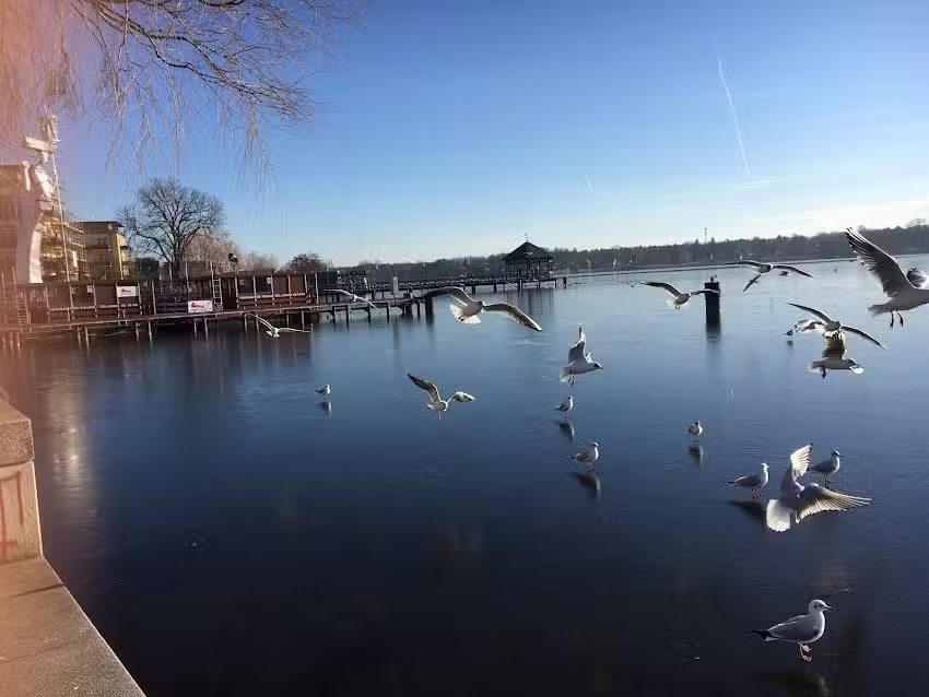 Kudamm Immobilien GmbH