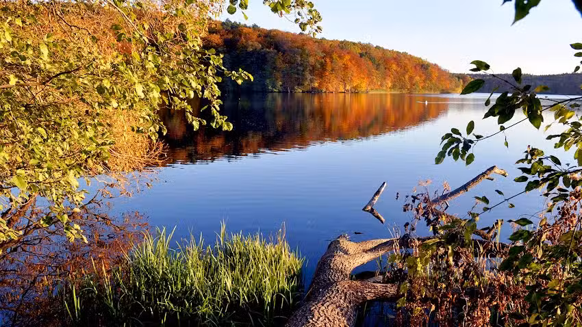 Kulturfreizeiten – Ferienwohnung