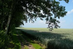 Kurverwaltung Insel Poel