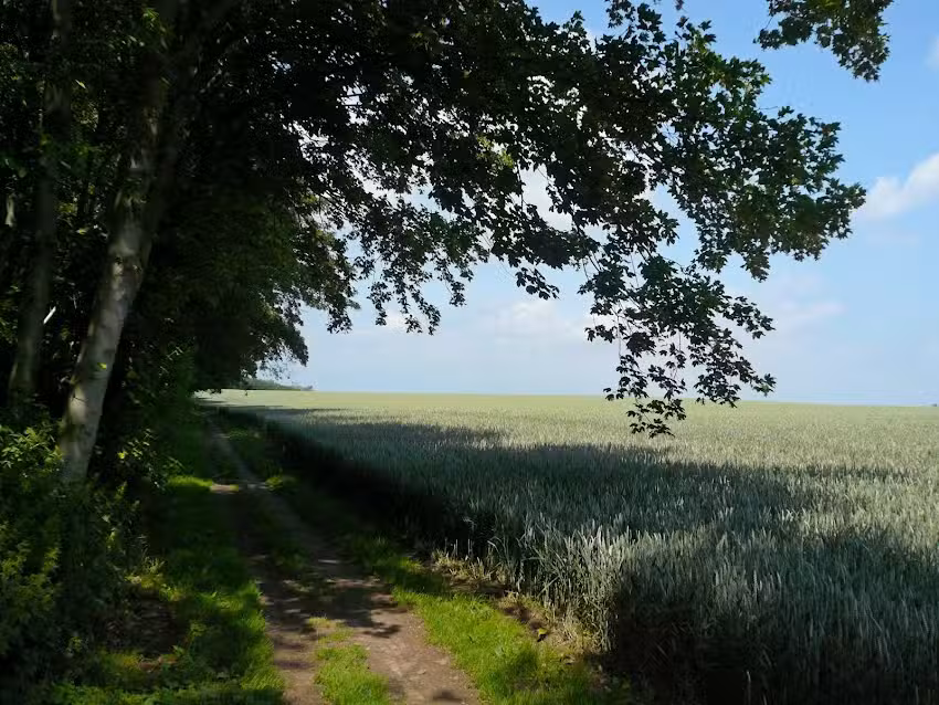 Kurverwaltung Insel Poel