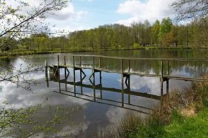 Küthe Immobilien Service