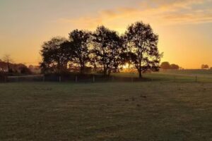 Landhaus Immobilien Meerregion | Immobilienmakler Wunstorf