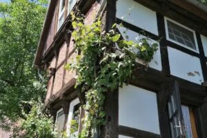 Landurlaub Hof Cammann