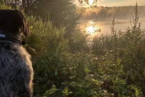 Lastering Ferienhäuser & Apartments im Erholungsgebiet Haddorfer Seen