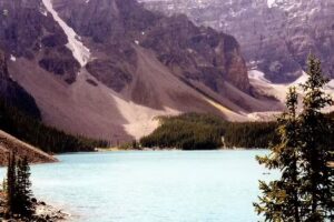 LaVida Immobilien- und Versicherungsvermittlung