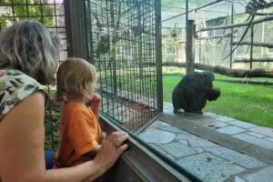 Layher Liegenschaften GmbH