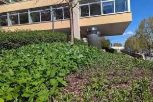 Lenz & Saas Immobilienanlagen GmbH