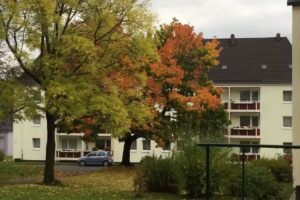 Limbach-Oberfrohna eG Wohnungsgenossenschaft