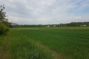 Lippelmann Grundstücks KG