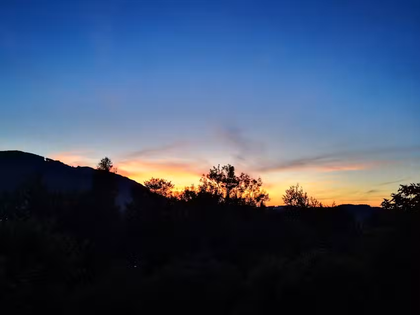 Ludwig und Claudia Steiner