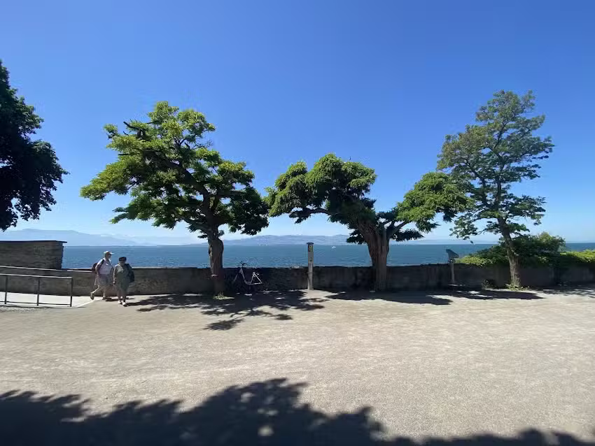 LUV – Lindauer UnterkunftsVerwaltung – Anne Beinder