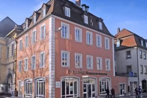 Main Immobilien Service GmbH & Co KG