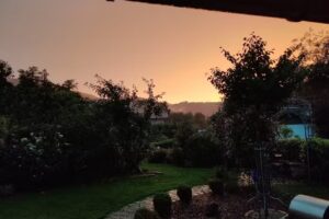 Marianne Kroschinski