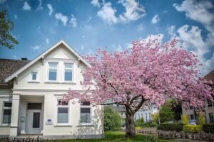 Marten Krentscher Immobilien