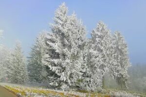 Martins Ferienhaus am Simmersberg