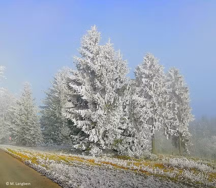 Martins Ferienhaus am Simmersberg