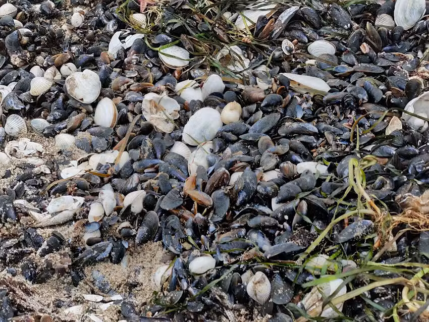 Matthias Behnke Immobilien