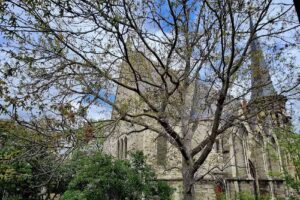 Matthias Bendrich Immobilien