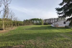 McMakler – Immobilienmakler Neubrandenburg