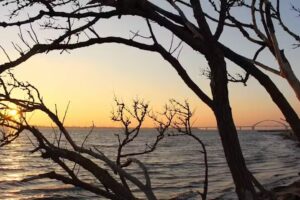 Meeresblick Georg & Svea Kleingarn