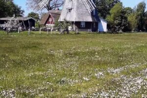 Meerfischland Ferienagentur – Meerfischland GmbH